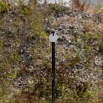 ENGAGE PRECISION ENGAGE PRECISION AR500 STEEL RIFLE TARGET ROUND GONG, ONE HOLE, 3/8”, 4”, WHITE