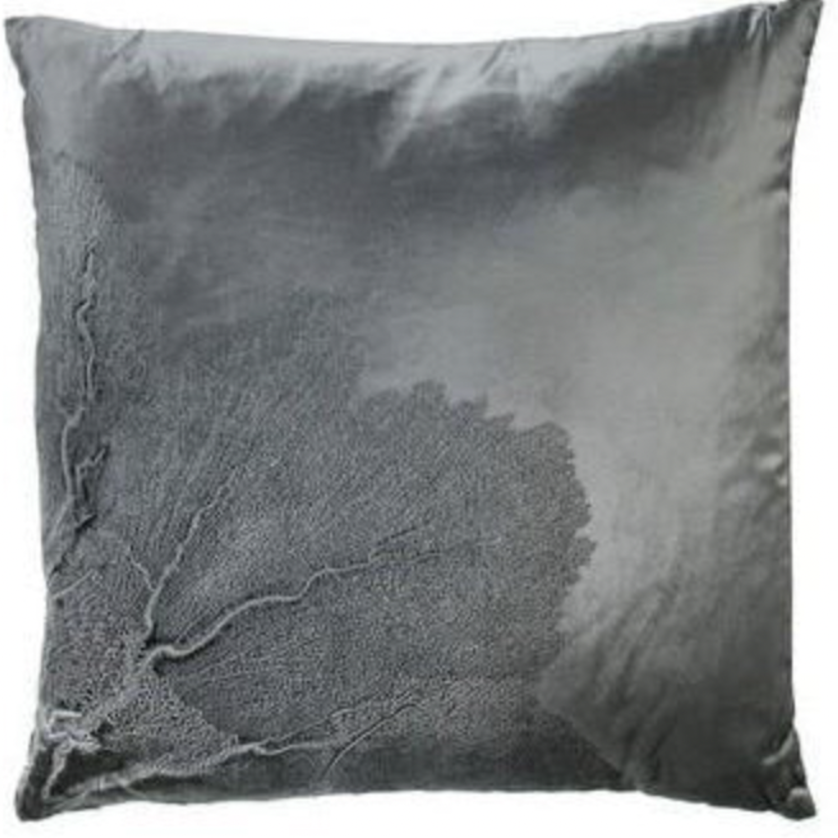 Seafan in Solana Velvet Pillow, 20x20