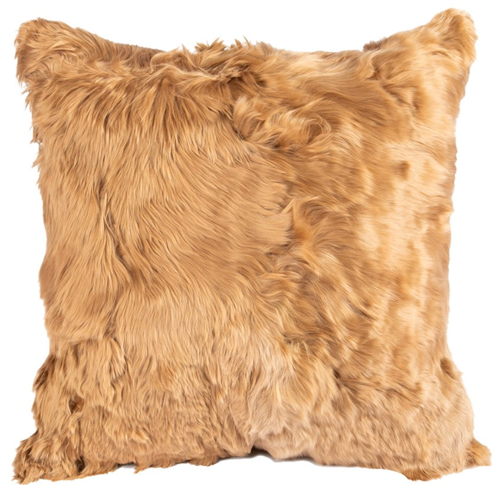 Pillow, Alpaca, 20x20, Gold