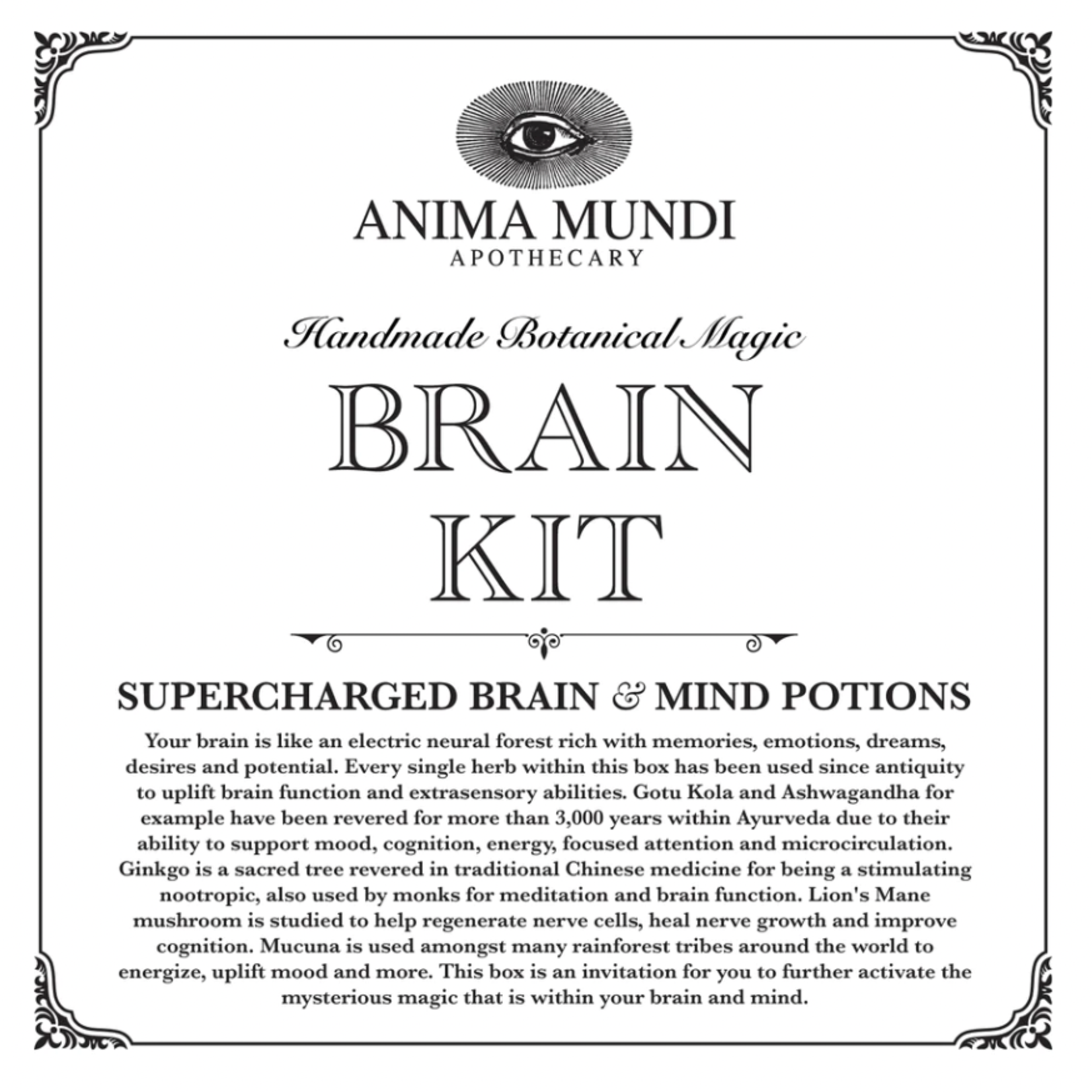 Anima Mundi Herbals Brain Kit | Adaptogenic Nootropics