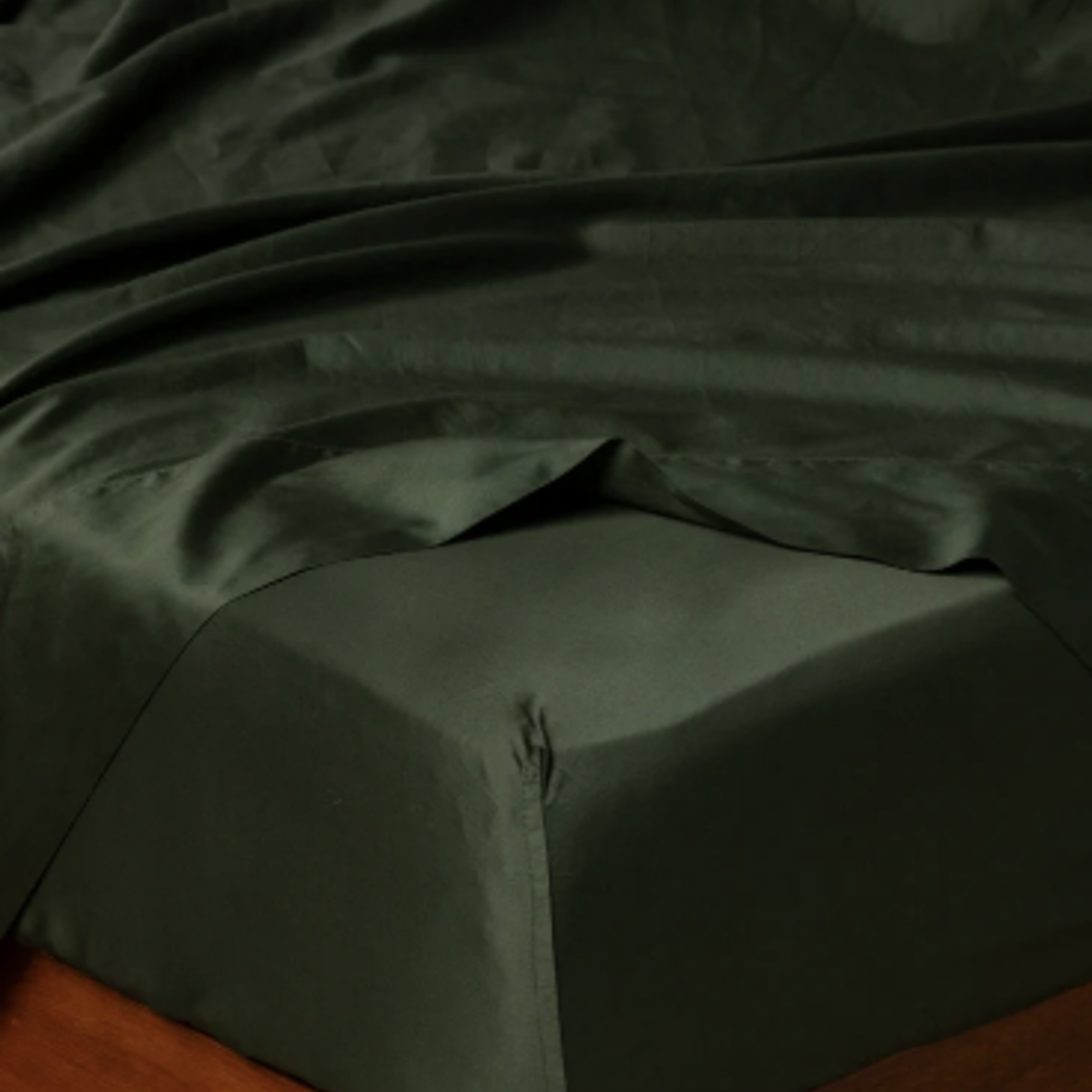 Bella Notte Bria Fitted Sheet