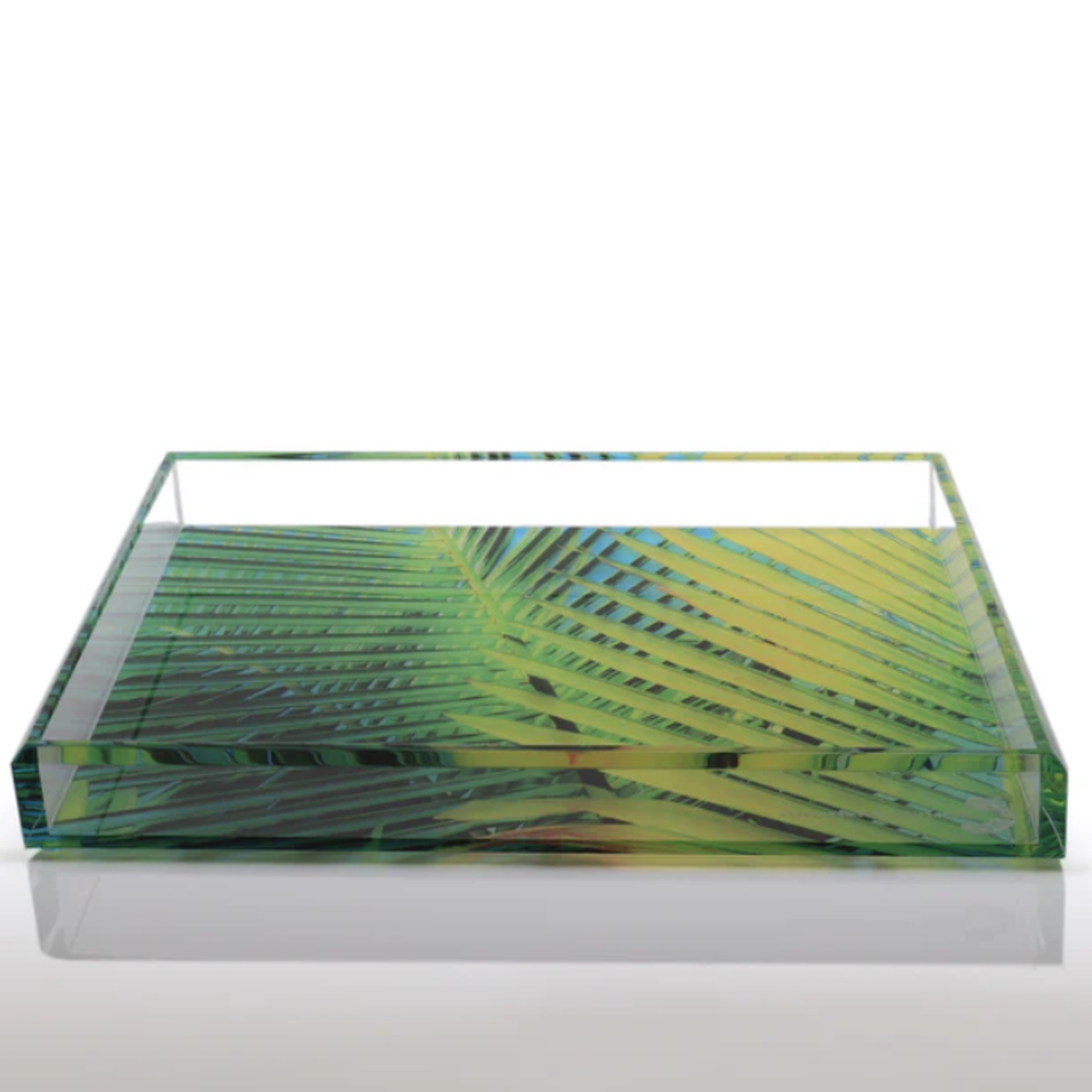 Acrylic Tray