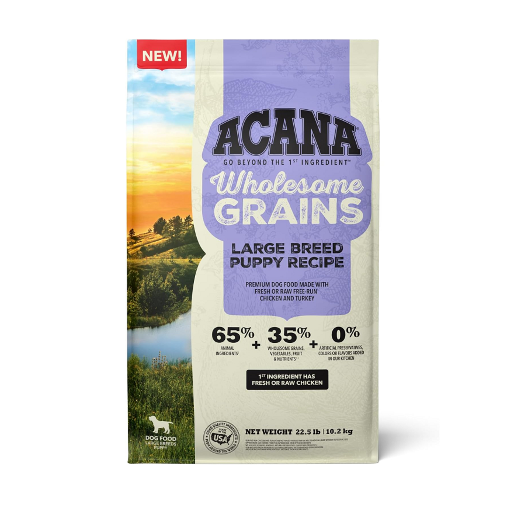 Acana Puppy / Large Breed - Wholesome Grains - Acana - Dog