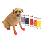 Pawz 12 ct. - Disposable & Reusable Waterproof Dog Boots - PawZ