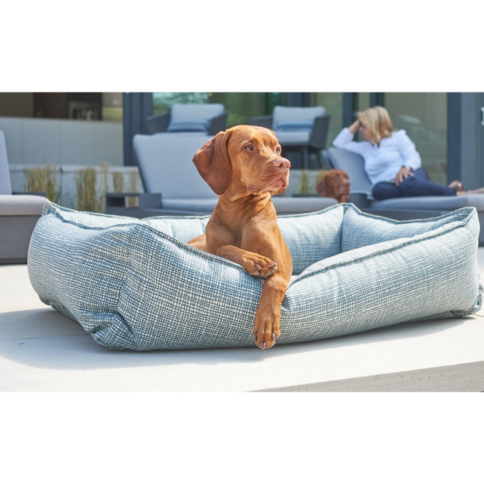 Bowsers Pet Products Urban Lounger Bed - Bowsers Pet Products