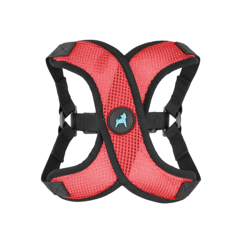 gooby-comfort-x-step-in-lite-