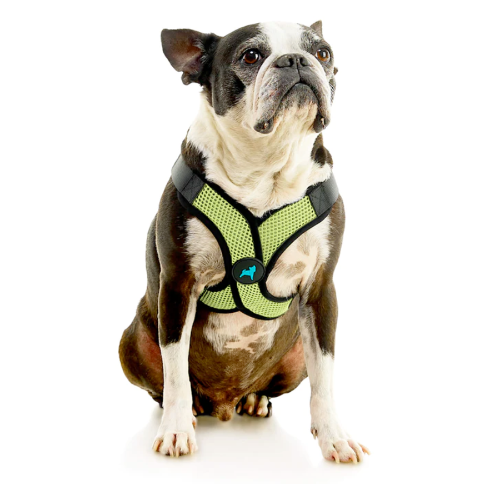Gooby Comfort X Step In Lite - Choke-Free & Escape-Free Mesh Harness - GOOBY
