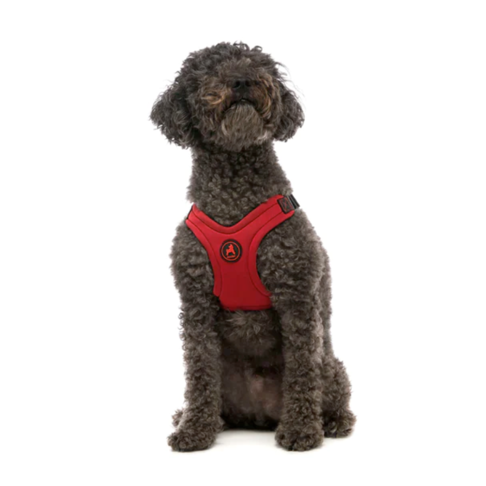 Gooby Escape Free® Sport Harness - Neoprene - GOOBY