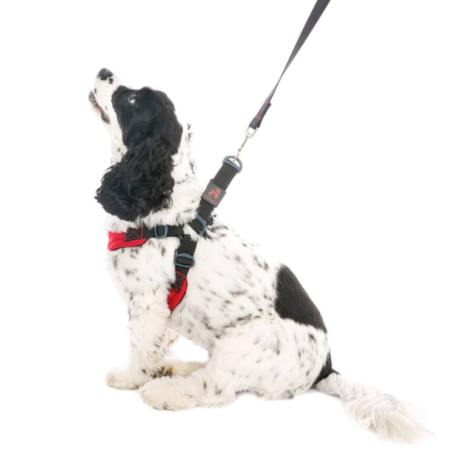 Gooby Escape Free® Sport Harness - Neoprene - GOOBY