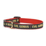 Up Country Evil Genius - Fits Neck 6-10" - Cat Collar - Up Country