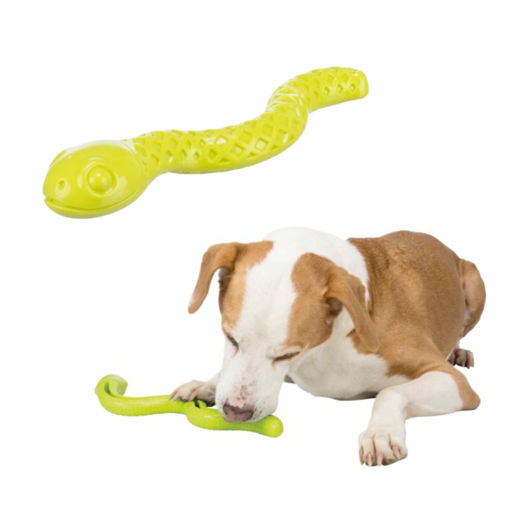 Trixie Squiggly Snake - Stuffable Toy - Trixie