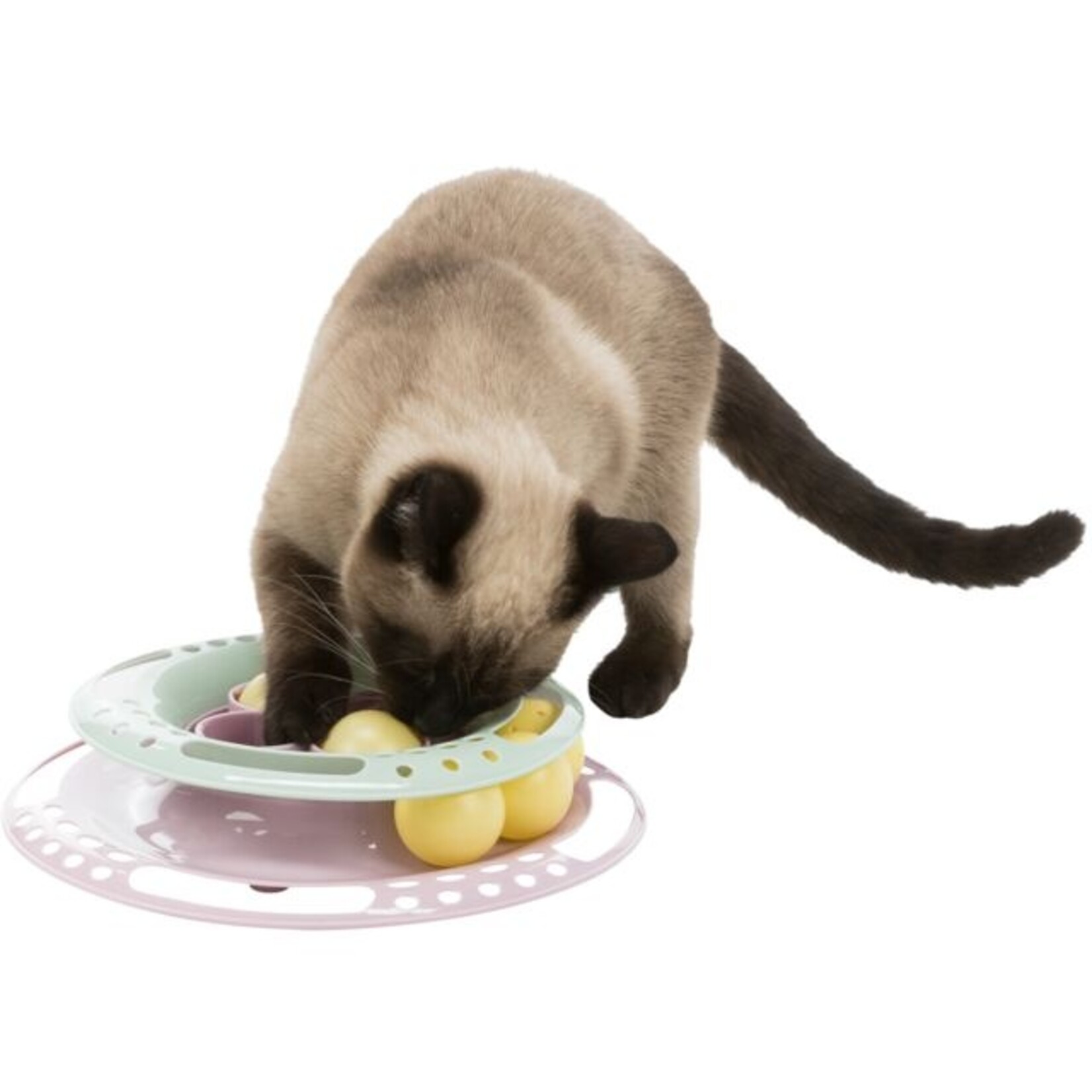 Trixie Play Circle Junior - Kitten Toy - Trixie