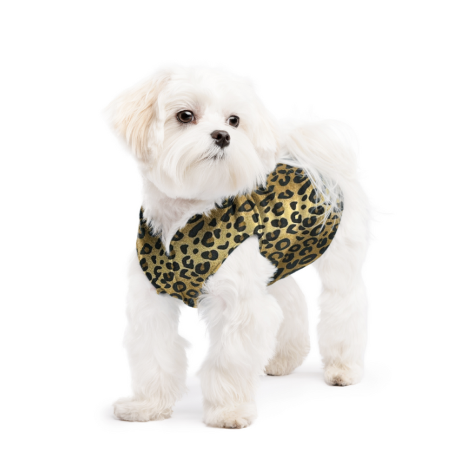 Gold Paw Series Pattern (Camo, Leopard, Plaid) - Stretch Fleece Pullover - Gold Paw Series