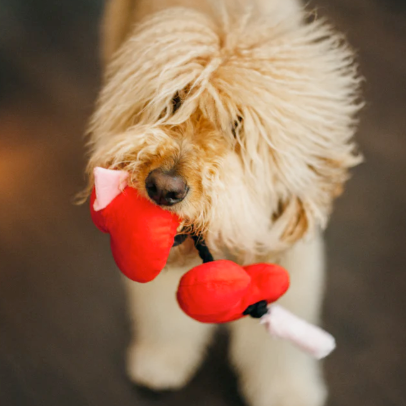 P.L.A.Y. Fur-Ever Hearts - Puppy Love Collection Dog Toy - P.L.A.Y.