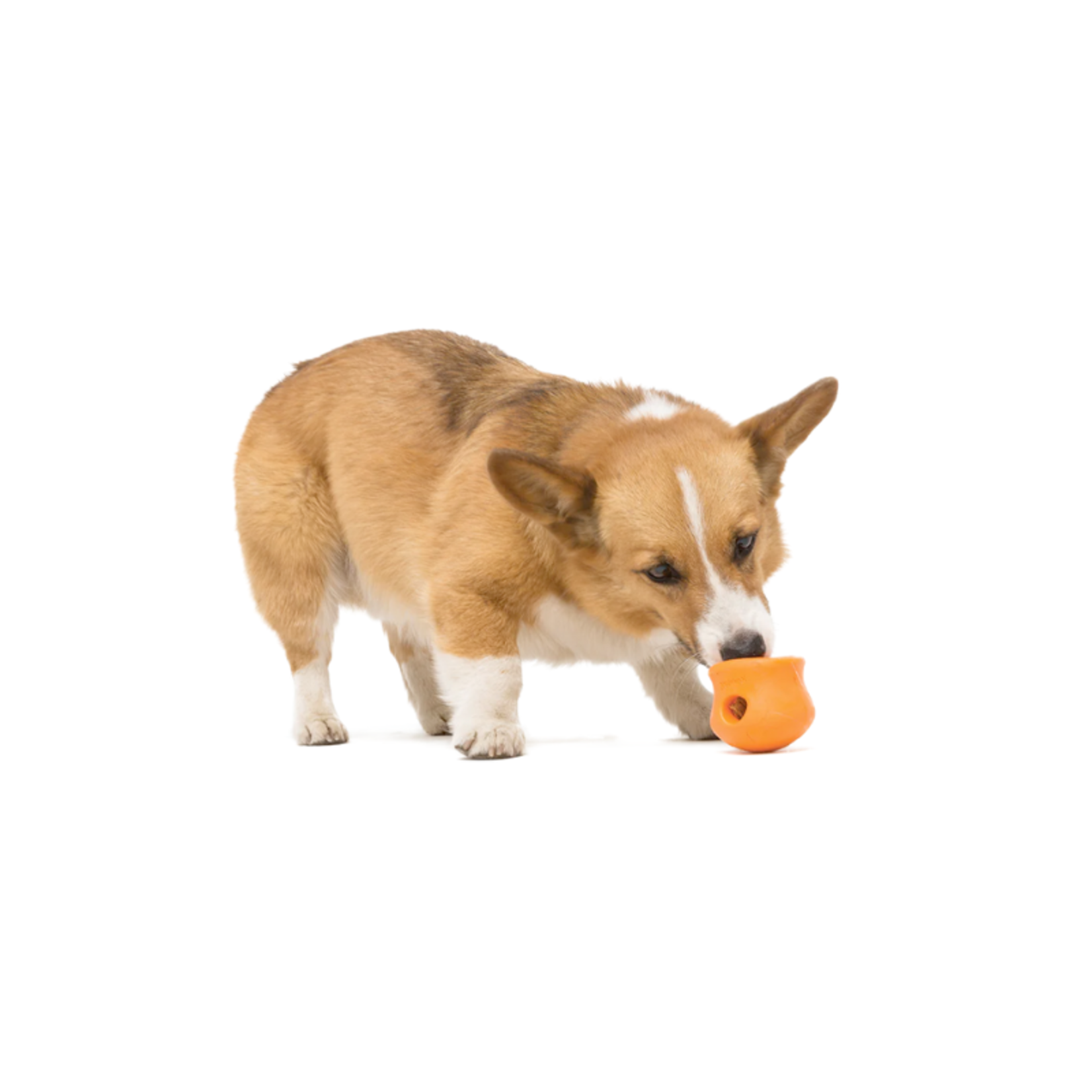 West Paw Toppl - For Moderate Chewers - Zogoflex Toy - West Paw Design