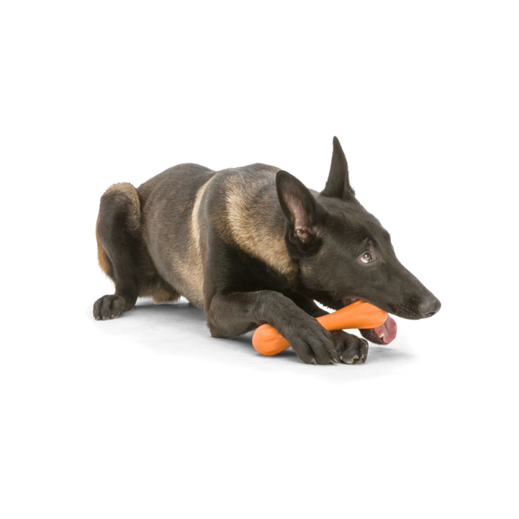 West Paw Hurley - For Tough Chewers - Zogoflex Toy - West Paw Design