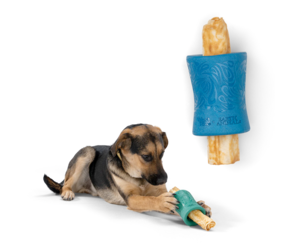 west-paw-funnl-earth-animal-no