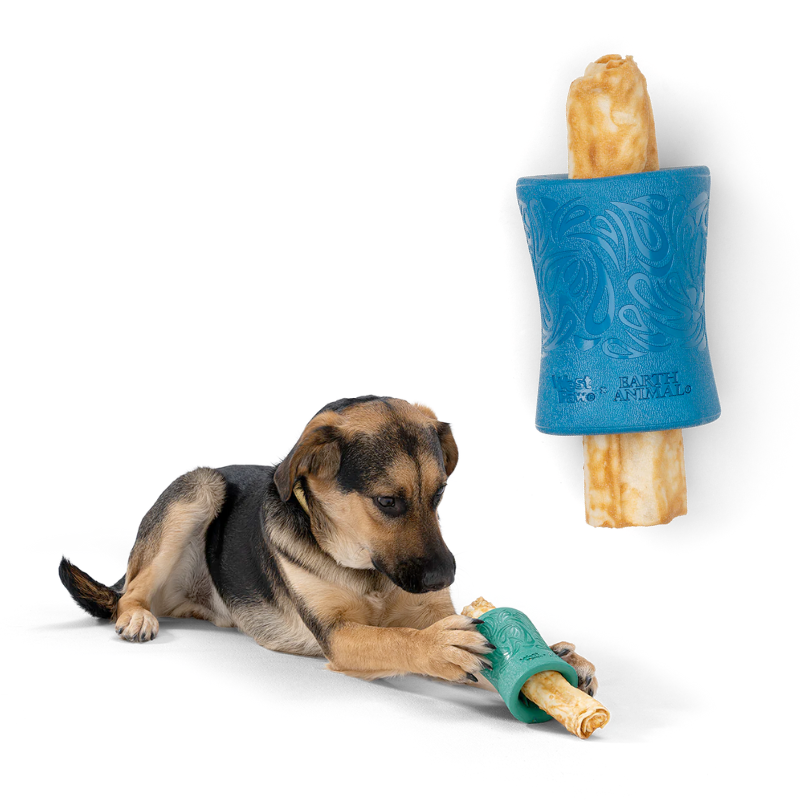 Funnl Earth Animal No-Hide Chew Holder - Zogoflex Sea Toy