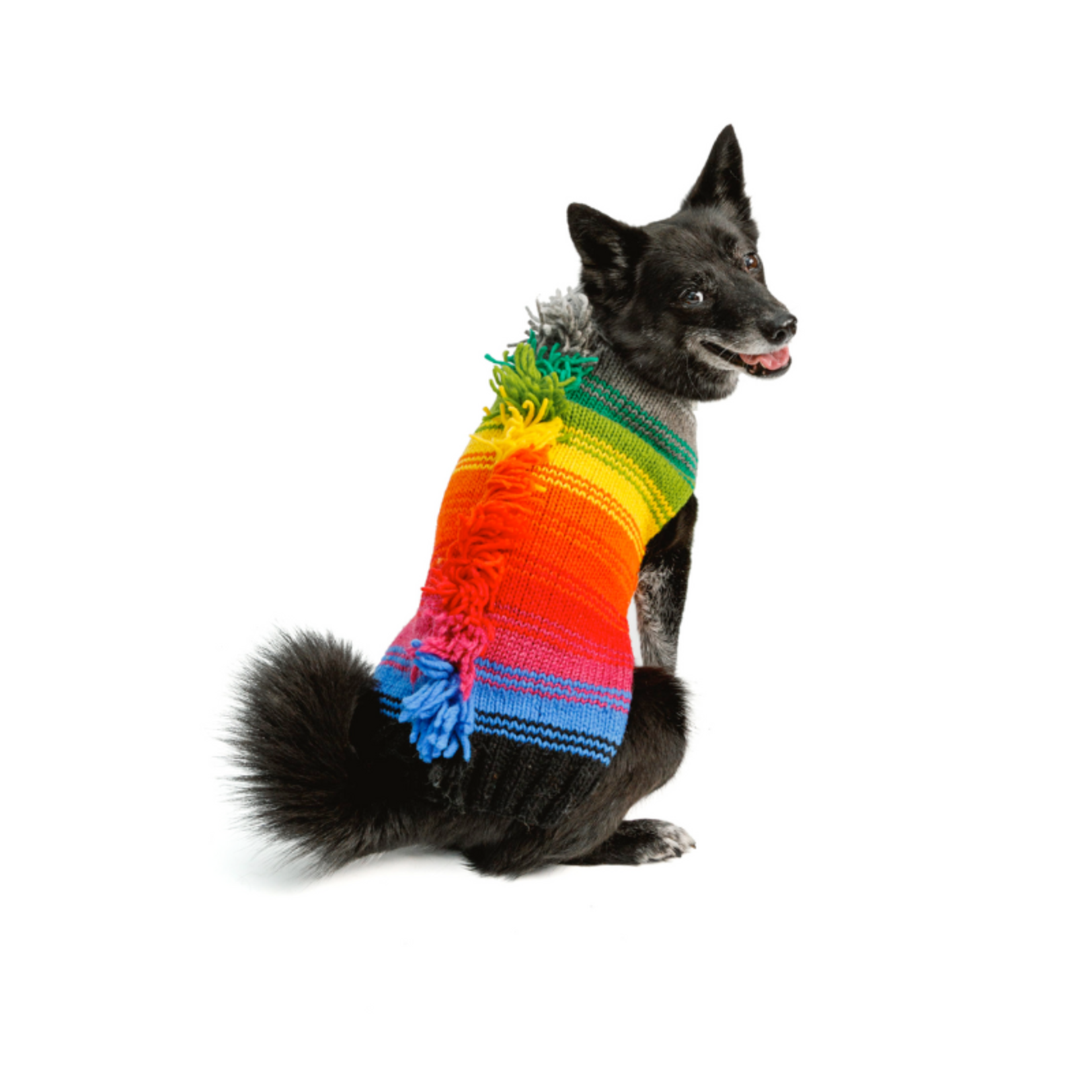 Chilly Dog Rainbow Mohawk - Wool - Dog Sweater - Chilly Dog