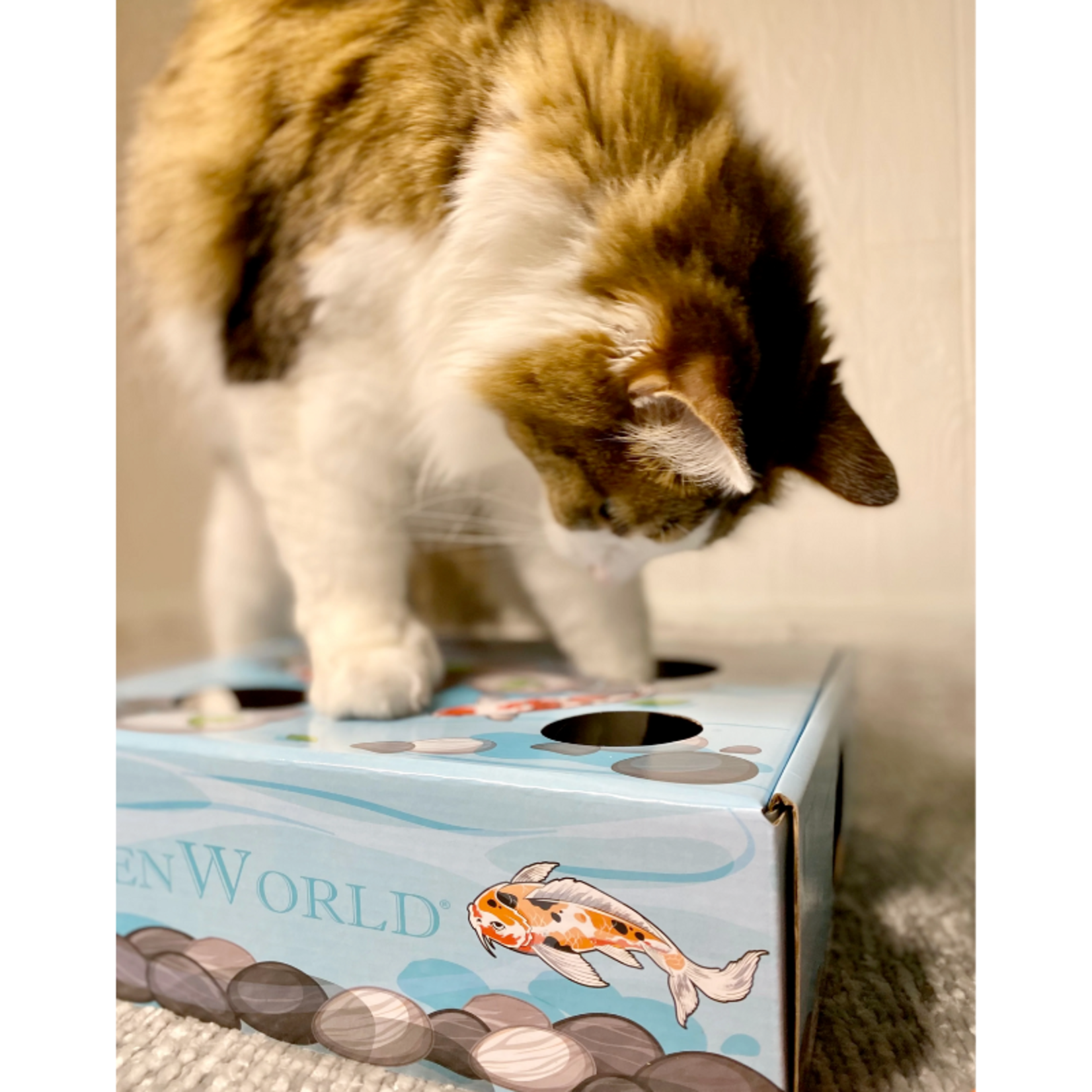 Doyen World Koi Pond Puzzle Box - Cardboard Toy Box - Doyen World