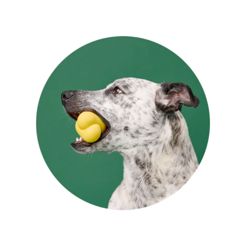 Fetch Toy Natural Rubber Earth Rated