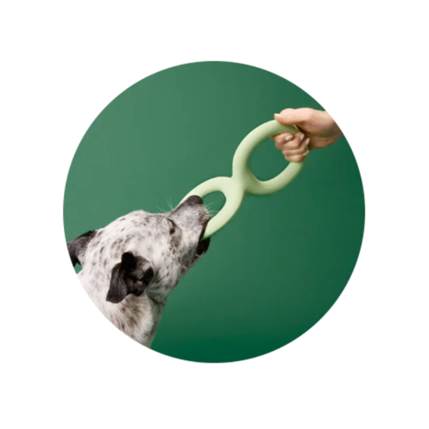 Earth Rated Tug Toy - Natural Rubber - Earth Rated