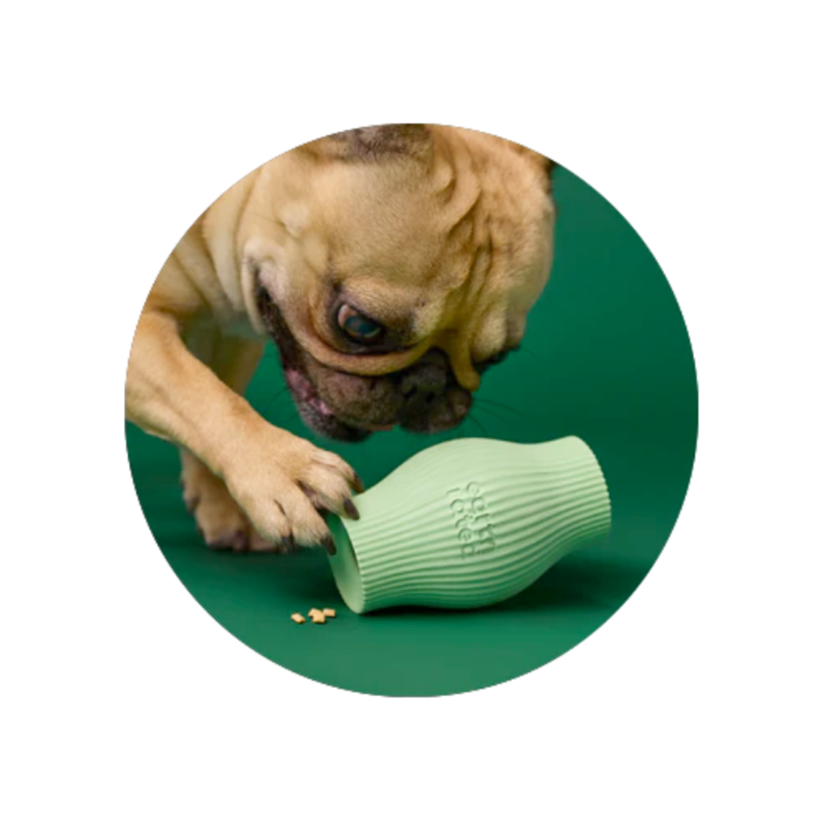 Earth Rated Treat Toy - Natural Rubber - Earth Rated