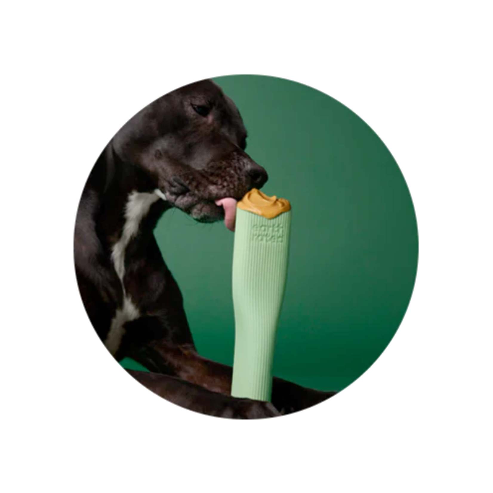 Earth Rated Stuffable Chew Toy - Natural Rubber - Earth Rated