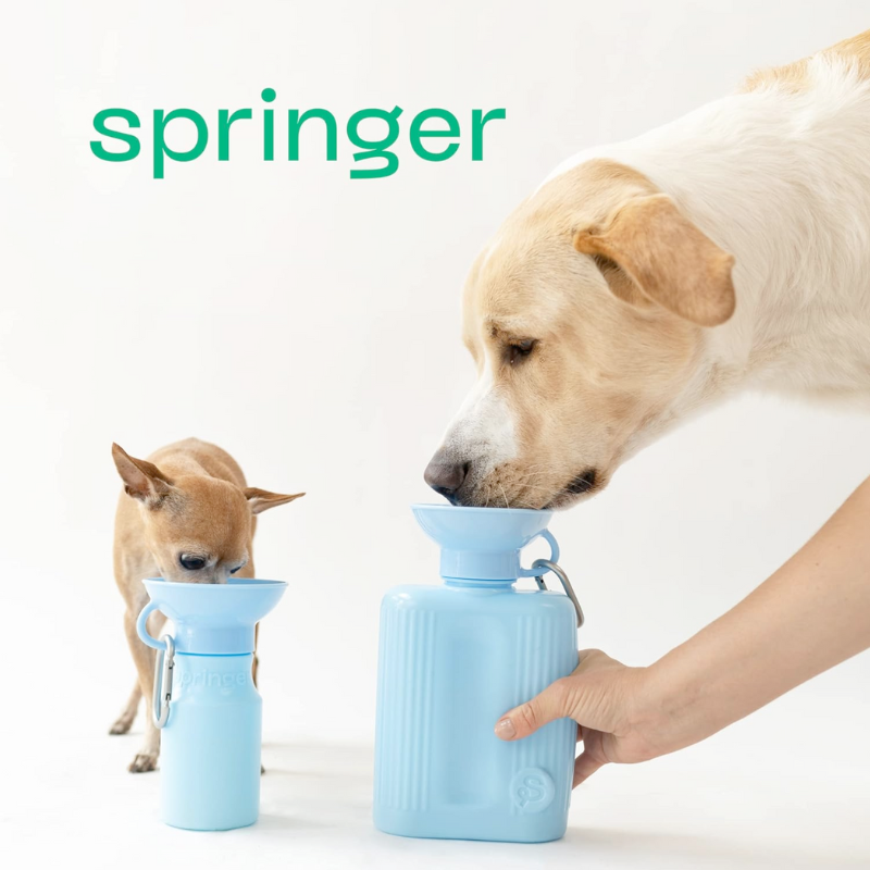 Dog Travel Water Bottle - Classic / Growler - Springer