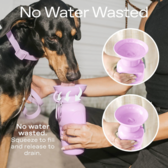 Dog Travel Water Bottle - Classic / Growler - Springer