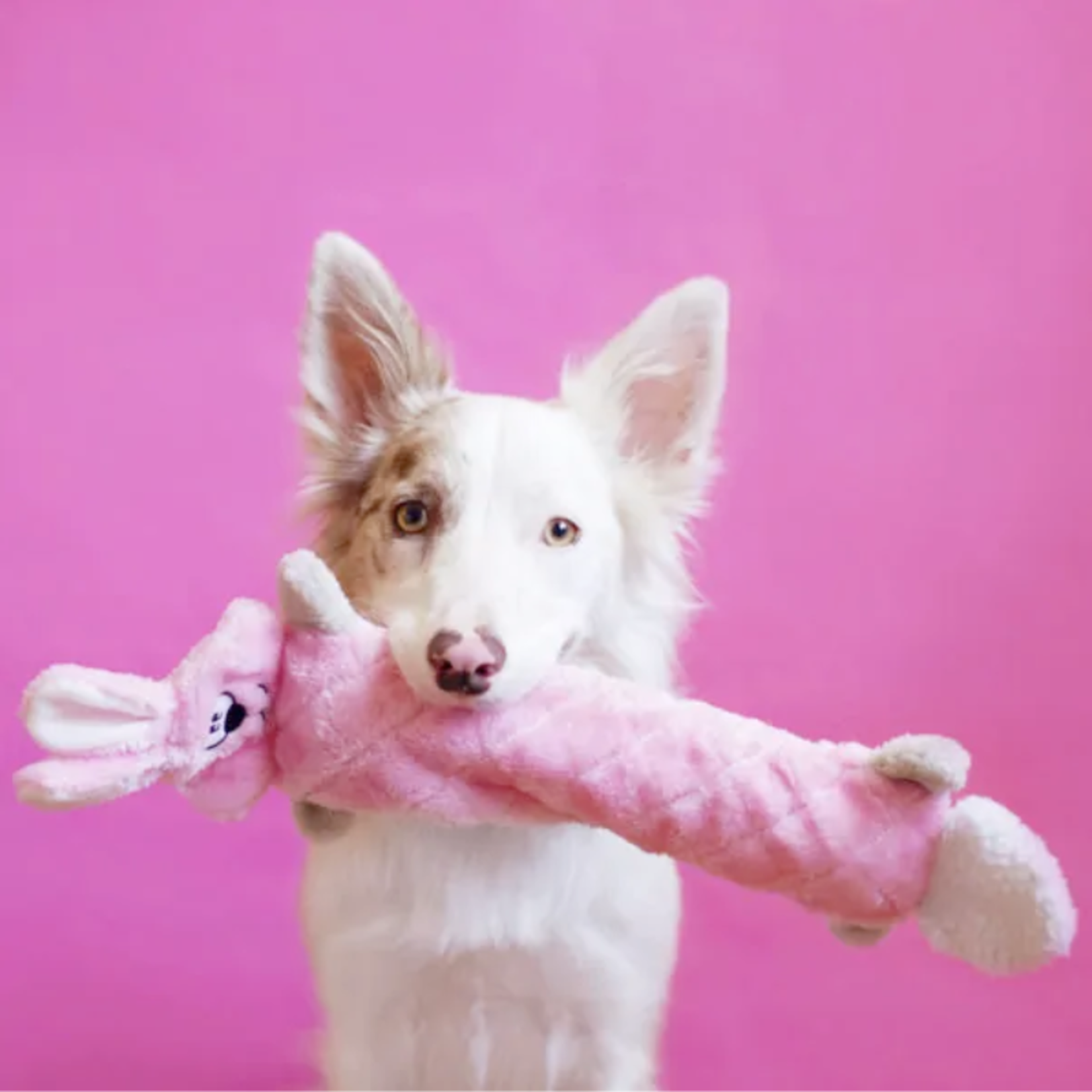 Zippy Paws Bunny - Jigglerz - Dog Toy - Zippy Paws