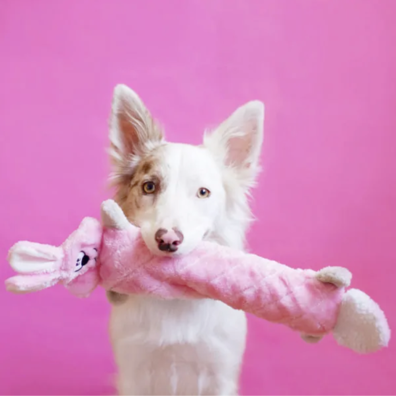 ZippyPaws Bunny - Jigglerz - Dog Toy - Zippy Paws