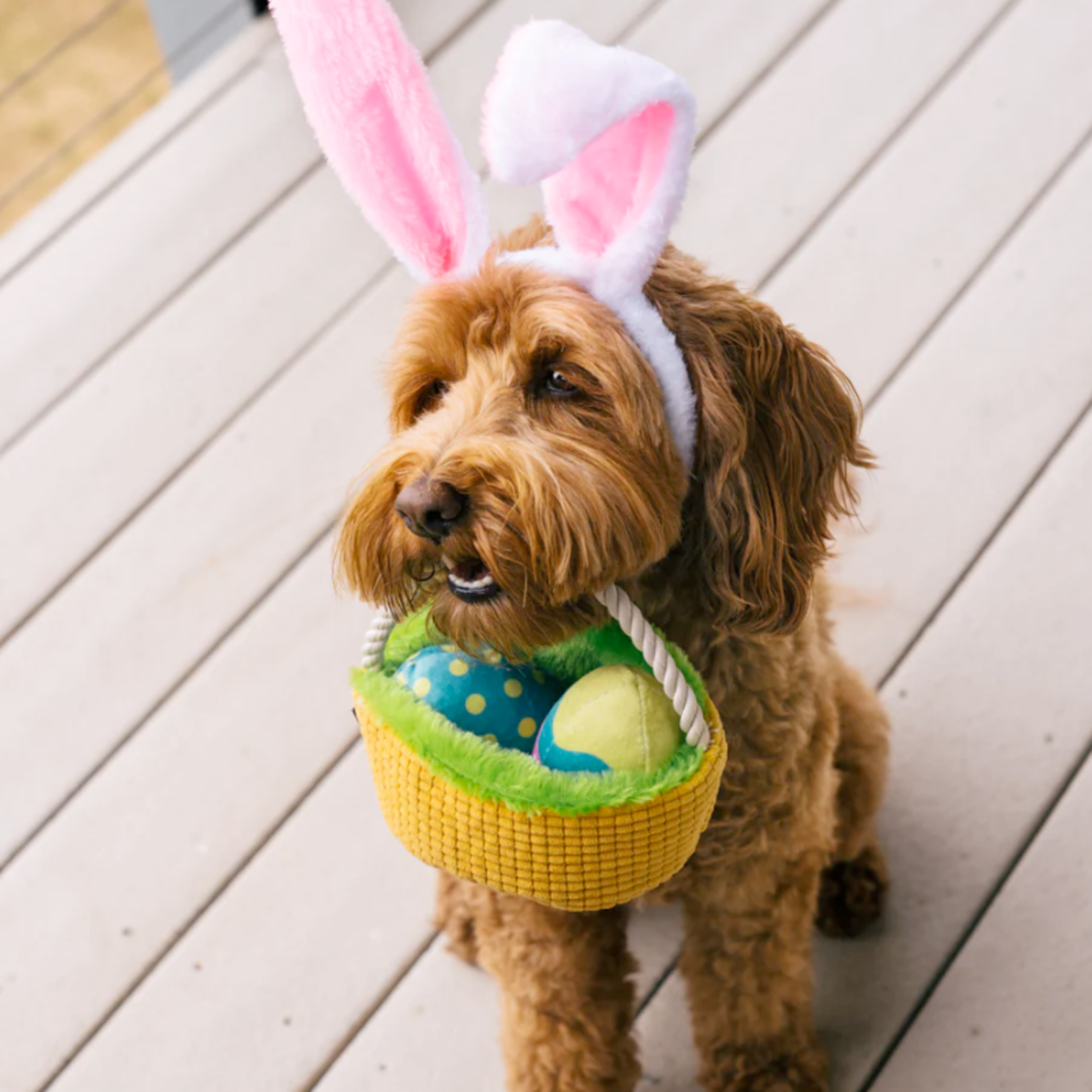P.L.A.Y. Eggs-cellent Easter Egg Basket - Hippity Hoppity Collection Dog Toy - P.L.A.Y.