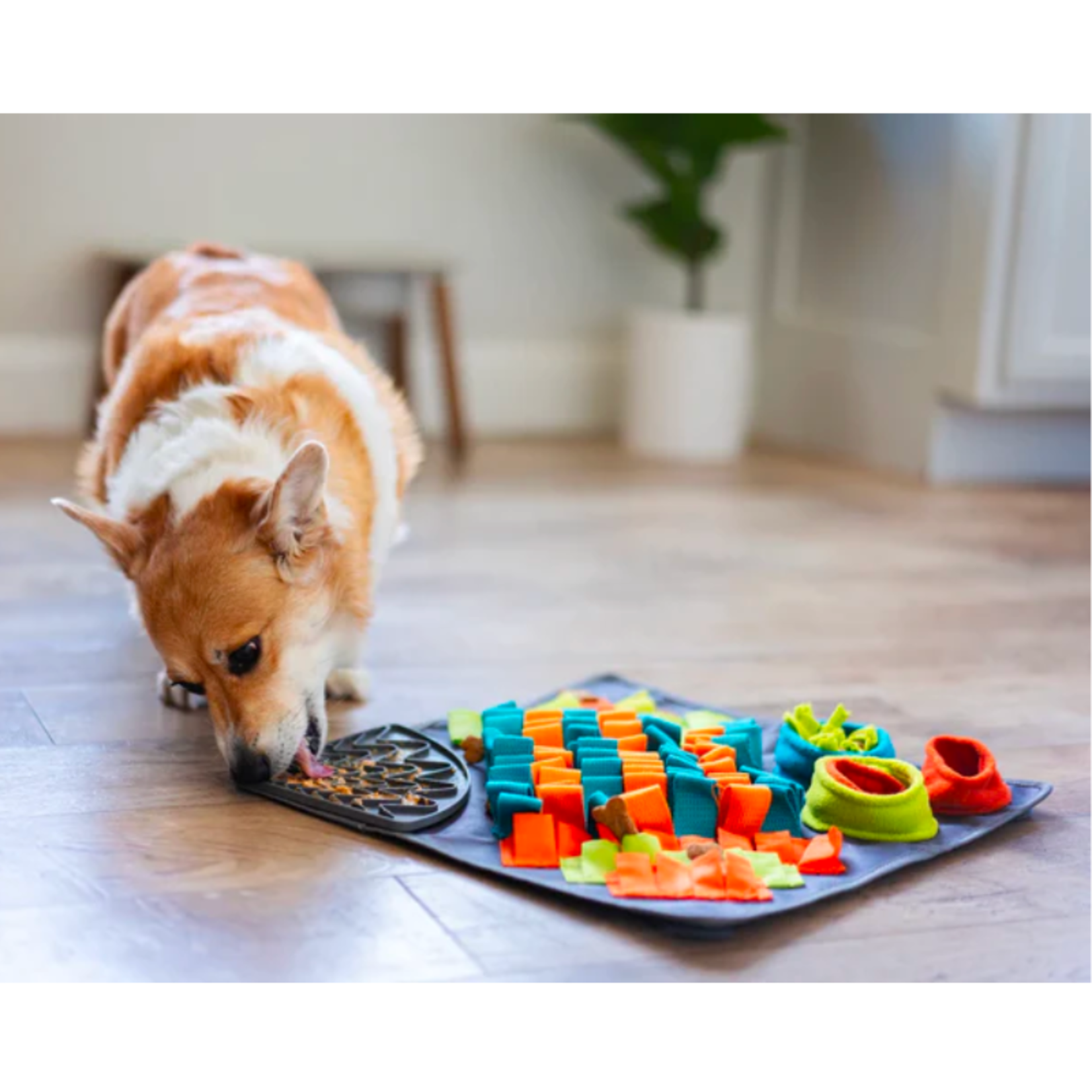 Messy Mutts Forage & Snuffle Mat with Removable Lick Mat - Messy Mutts