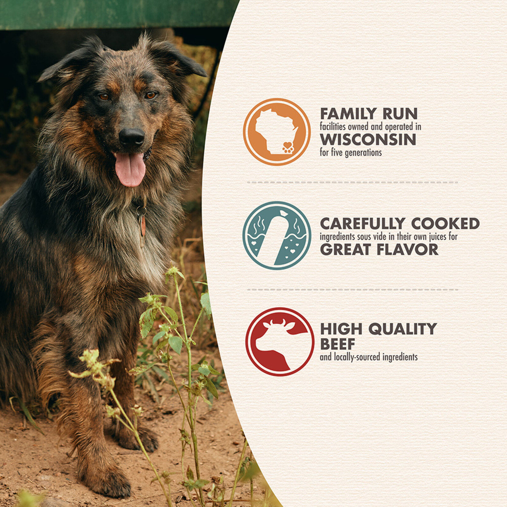 Beef / BeefiBowls - Gently Cooked Food for Dogs - Bonnihill Farms by Fromm