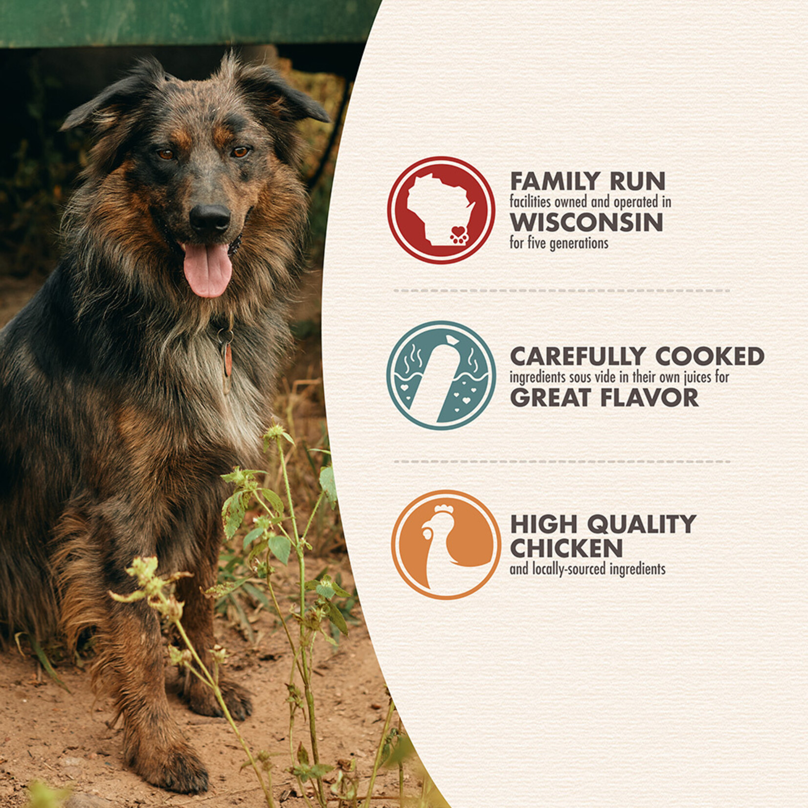 Chicken / ChickiBowls - Gently Cooked Food for Dogs - Bonnihill Farms by Fromm