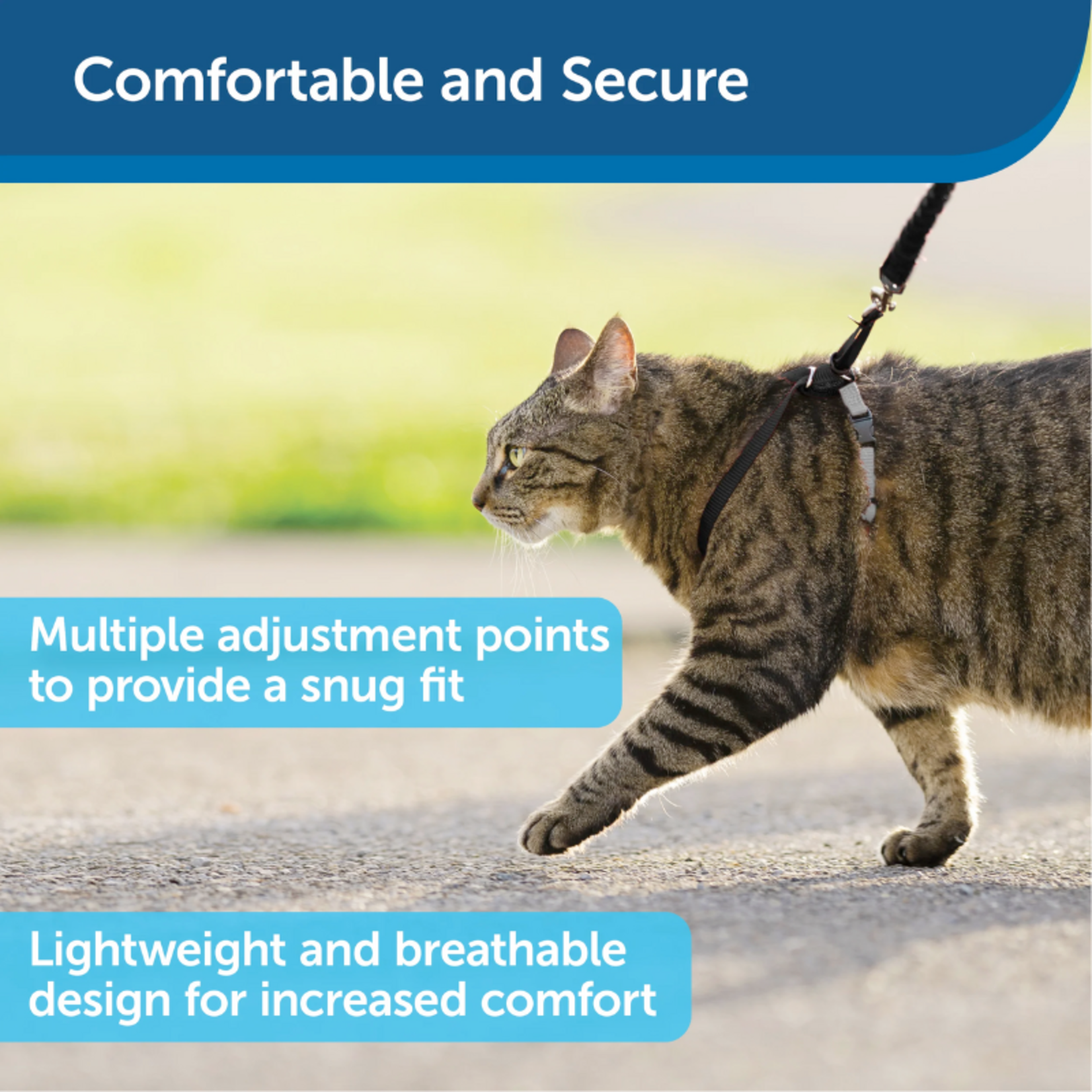 PetSafe Come With Me Kitty - Cat Harness & Leash - Premier