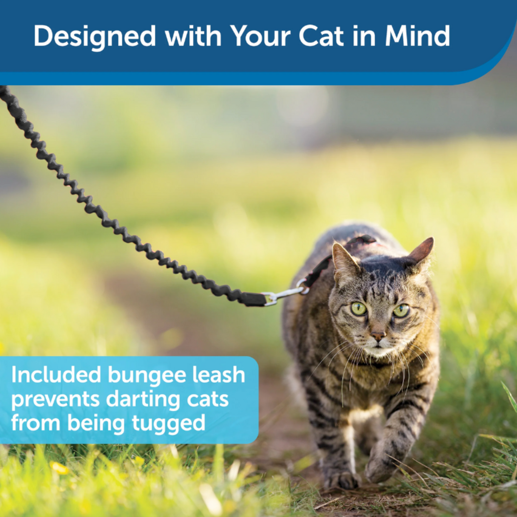PetSafe Come With Me Kitty - Cat Harness & Leash - Premier