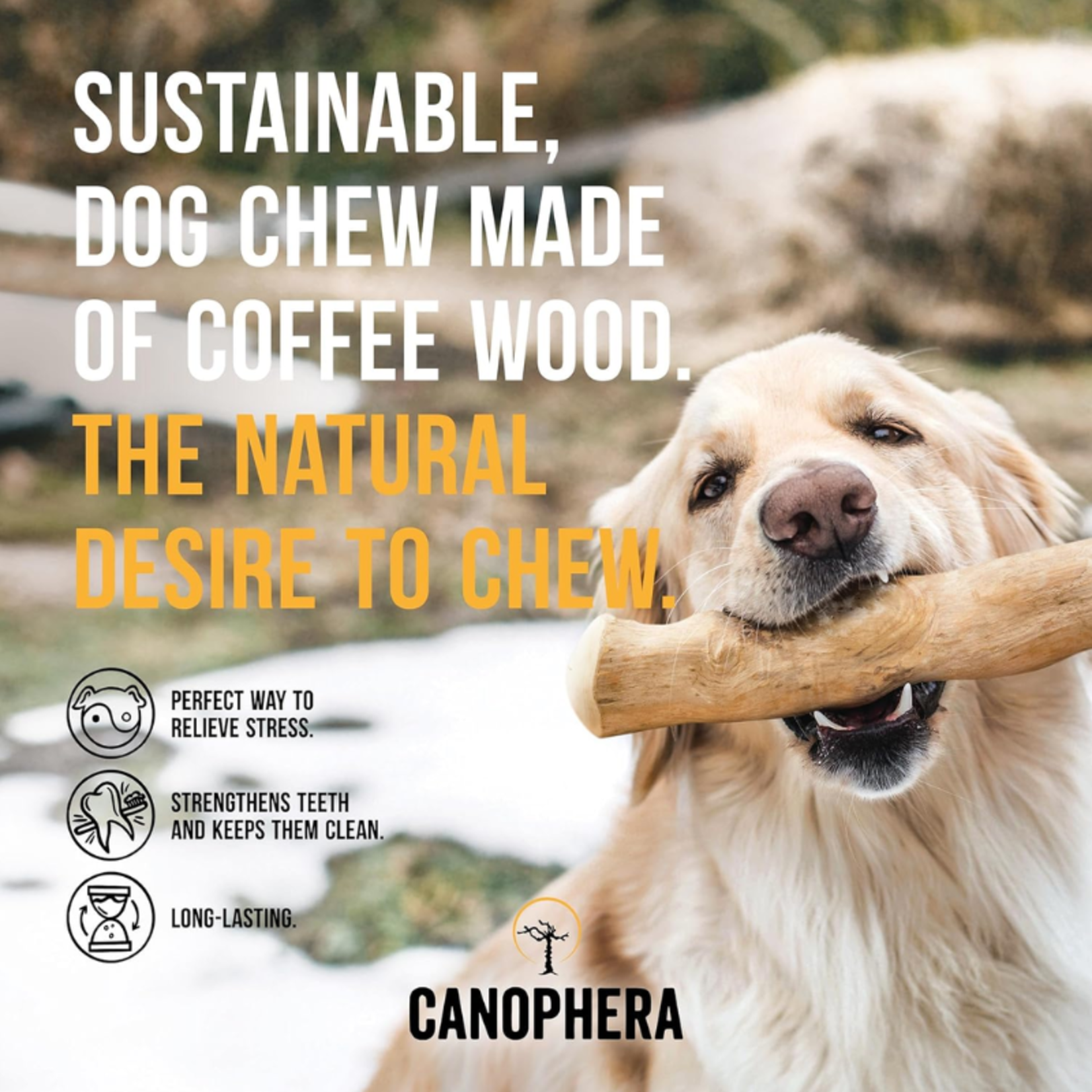 Coffee Wood Chew Stick - Canophera