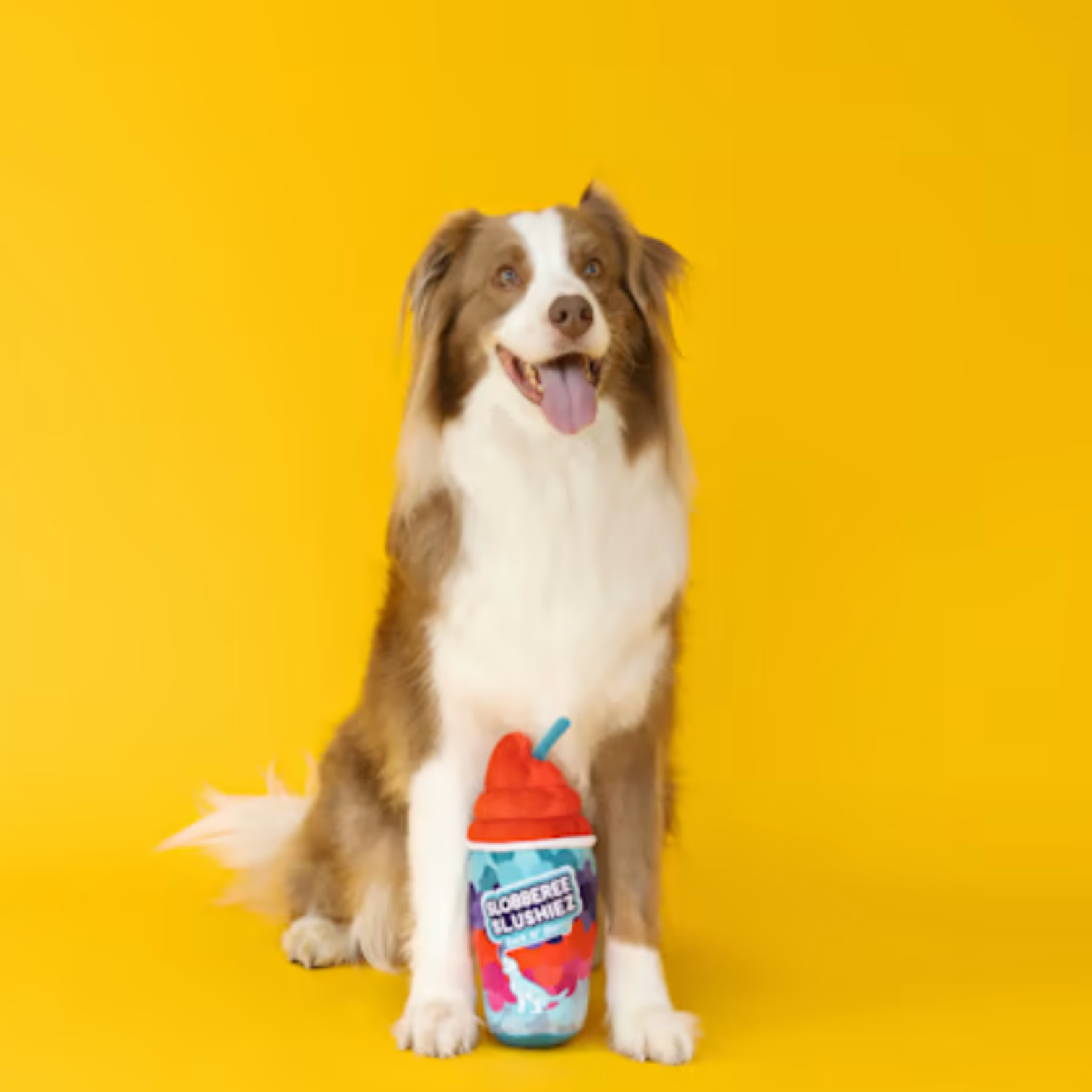 Wagsdale Slobberee Slushiez (Frozen Drink) - Plush Dog Toy - Wagsdale