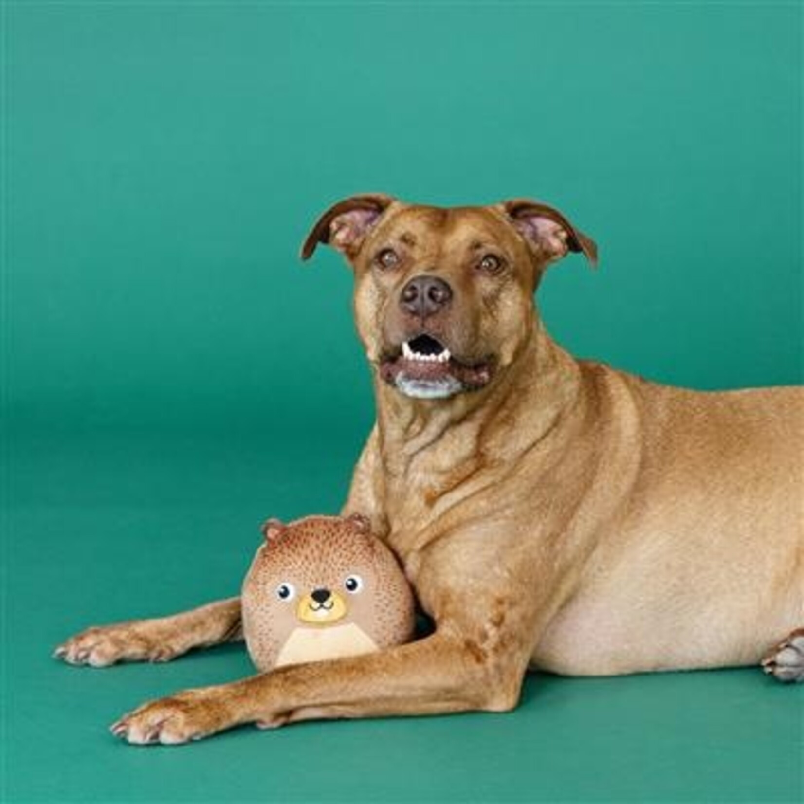 Wagsdale The Dam Boss (Beaver) - Plush Dog Toy - Wagsdale