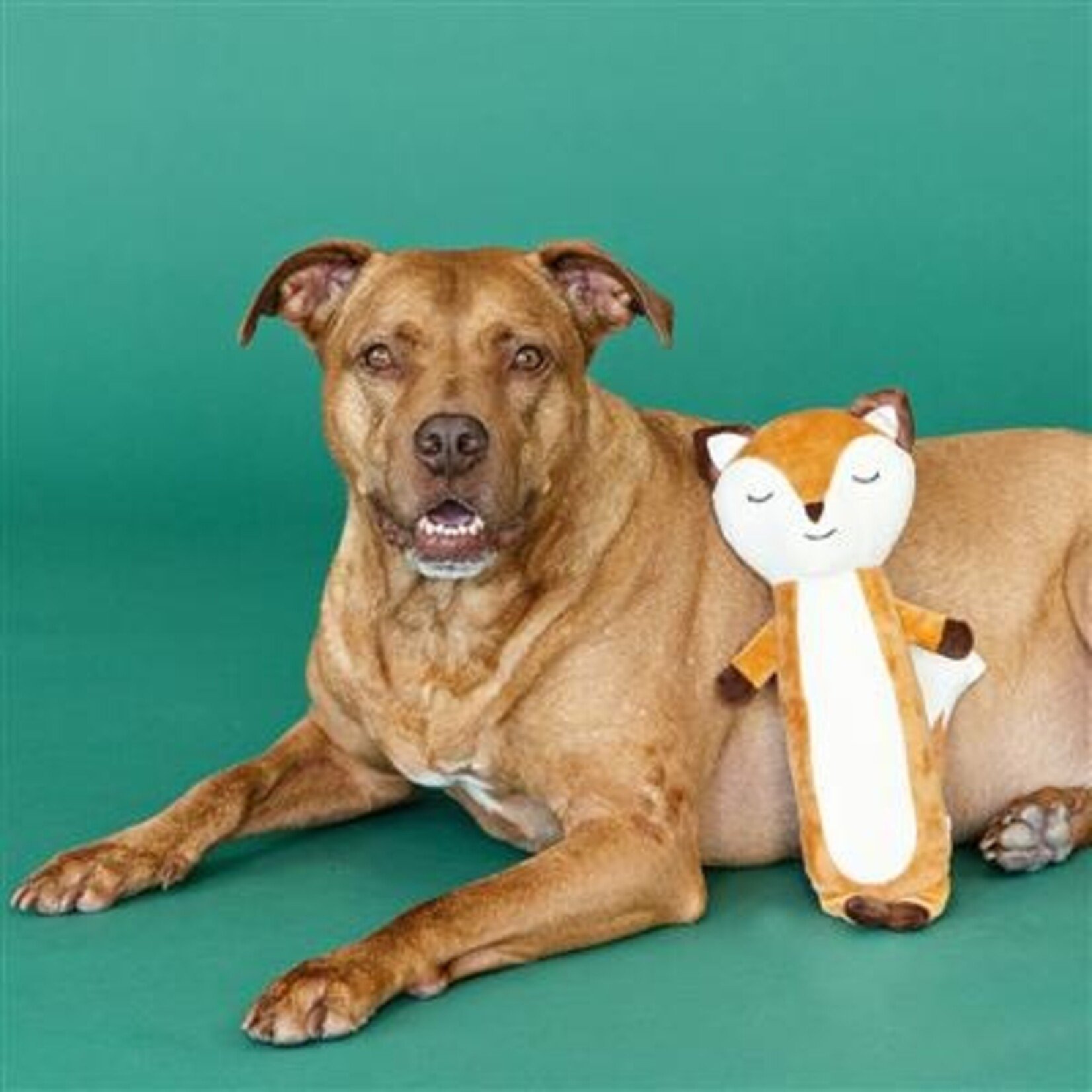 Wagsdale For Fox Sake - Plush Dog Toy - Wagsdale