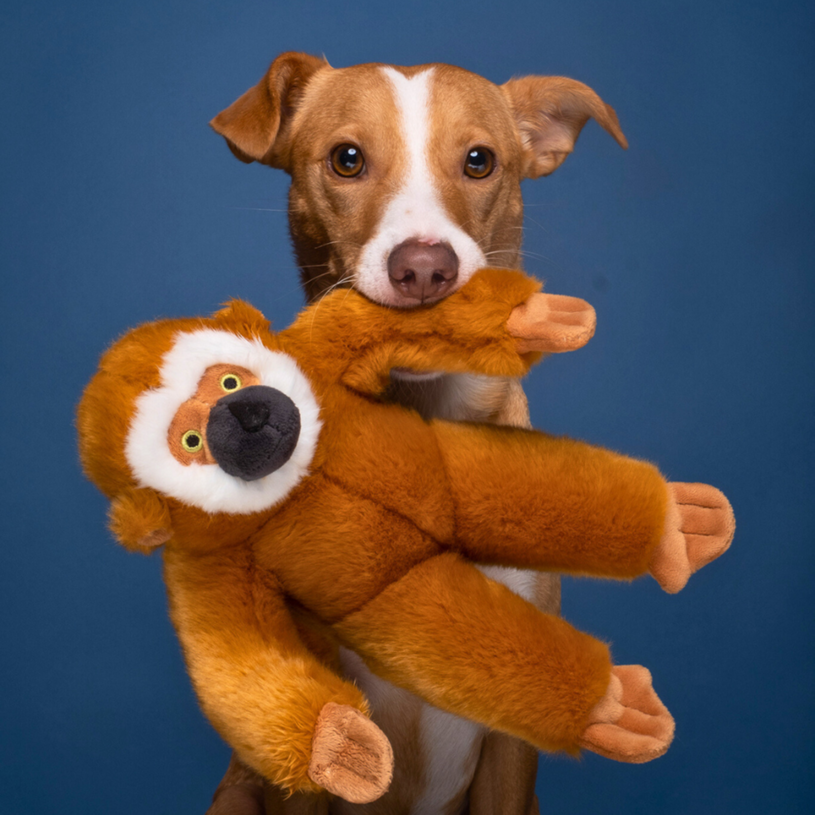 Fluff & Tuff 13" Medium - Marcel the Monkey - Plush Dog Toy - Fluff & Tuff