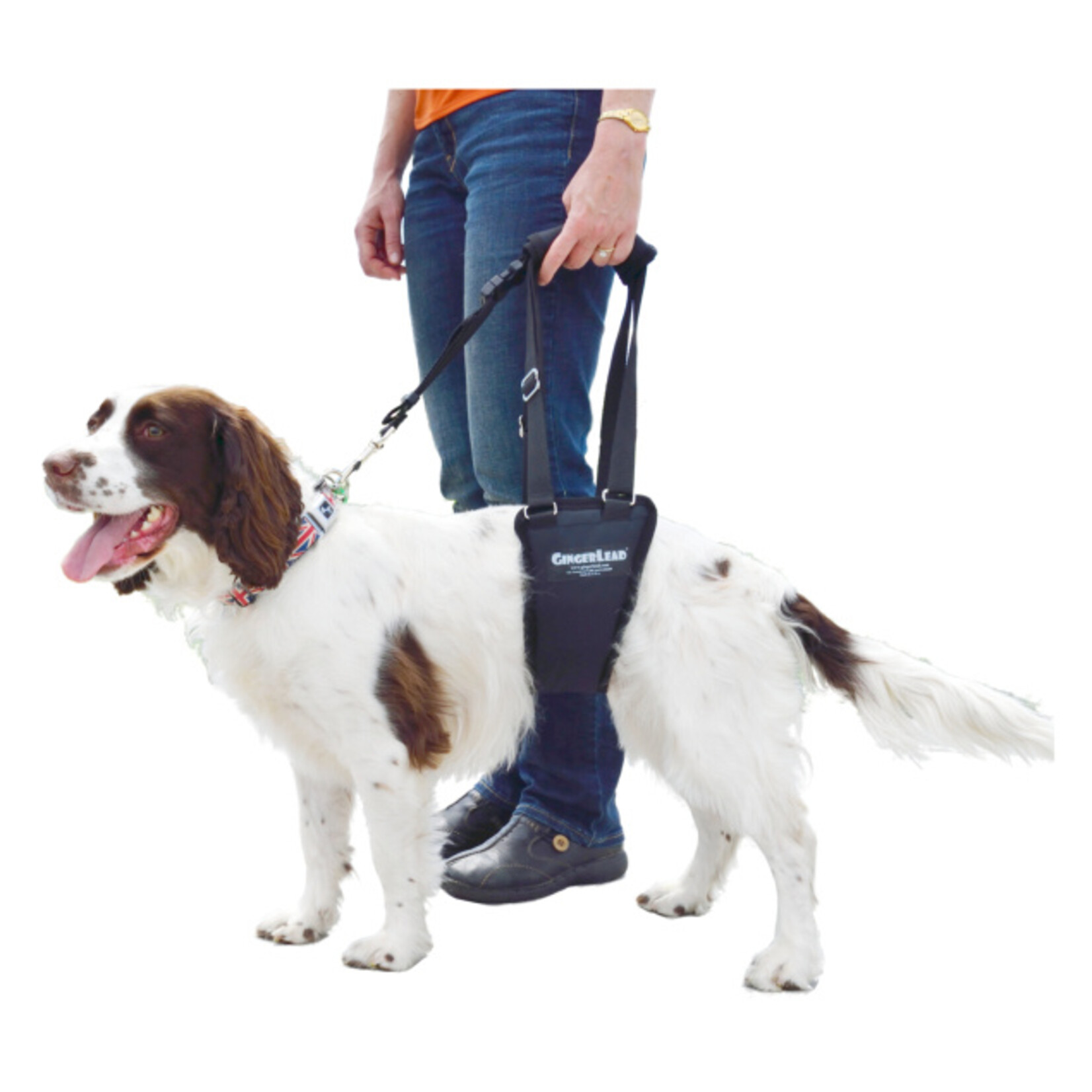 GingerLead Small Male - Padded Belly Sling - GingerLead