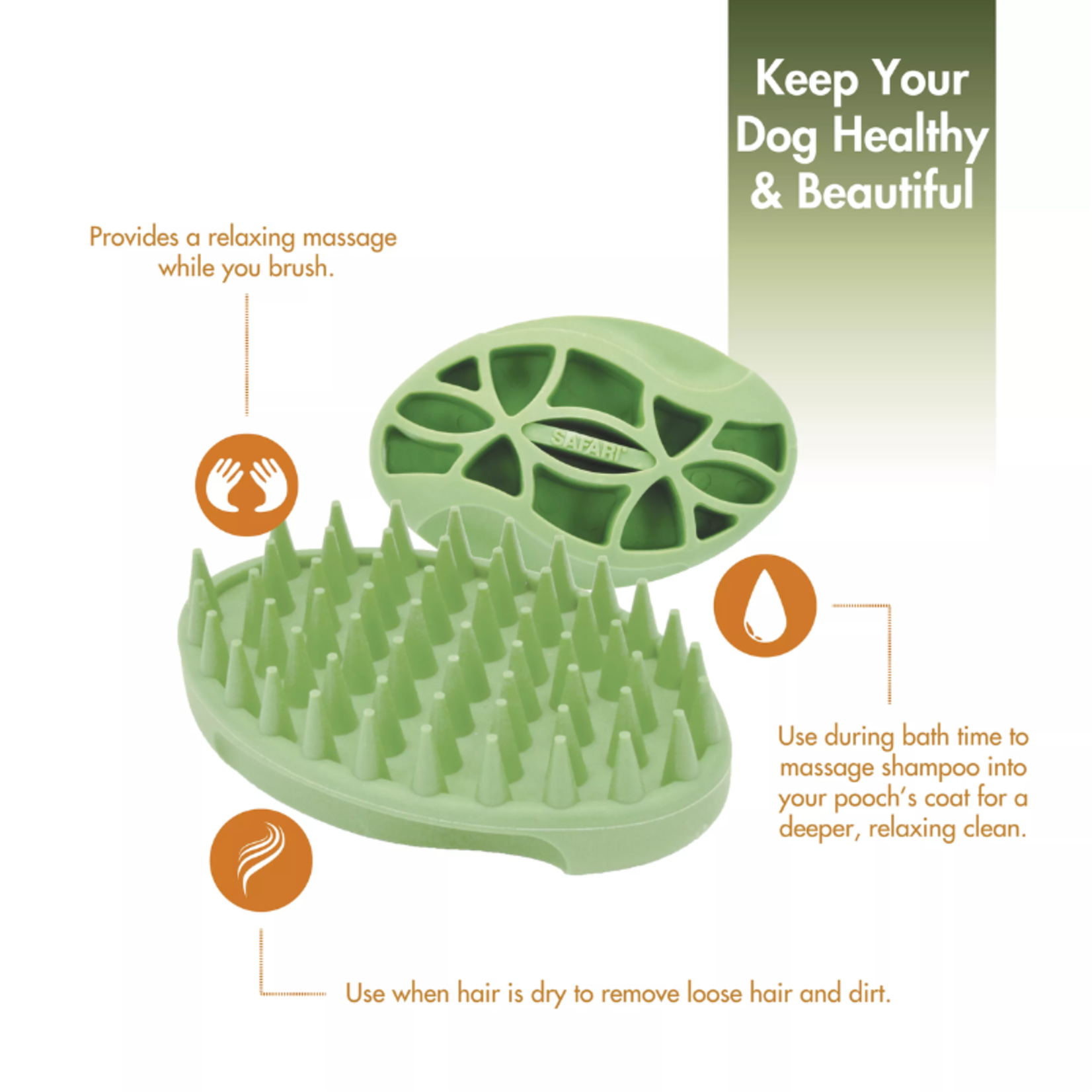 Coastal / Safari Soft Tip Curry Dog Brush - Safari / Coastal