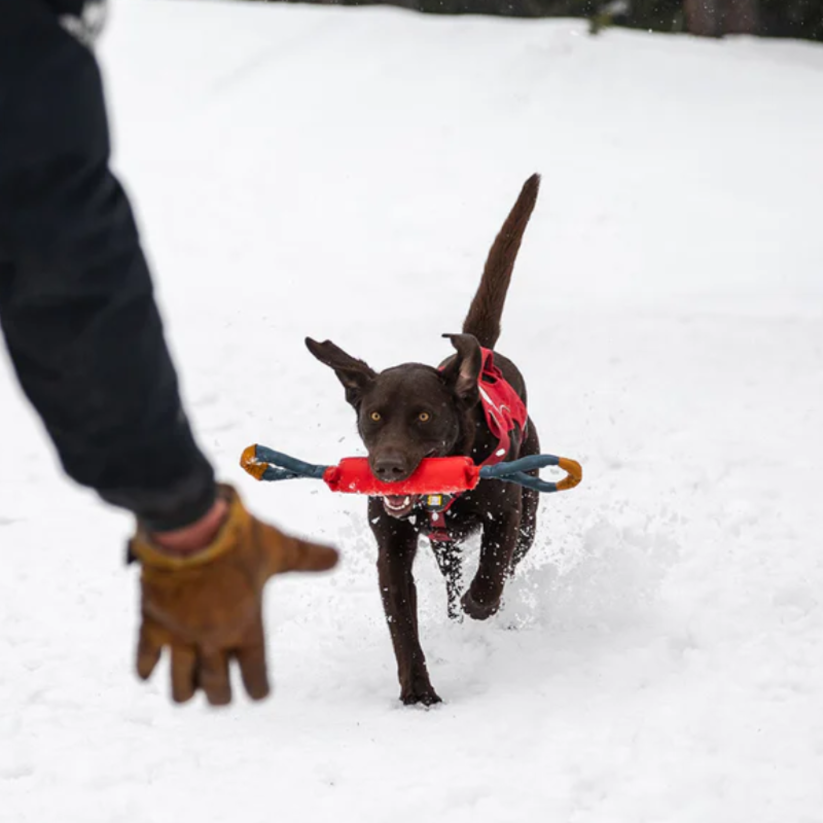 Ruffwear 20” - Pacific Loop™ Tug & Fetch Toy - Ruffwear