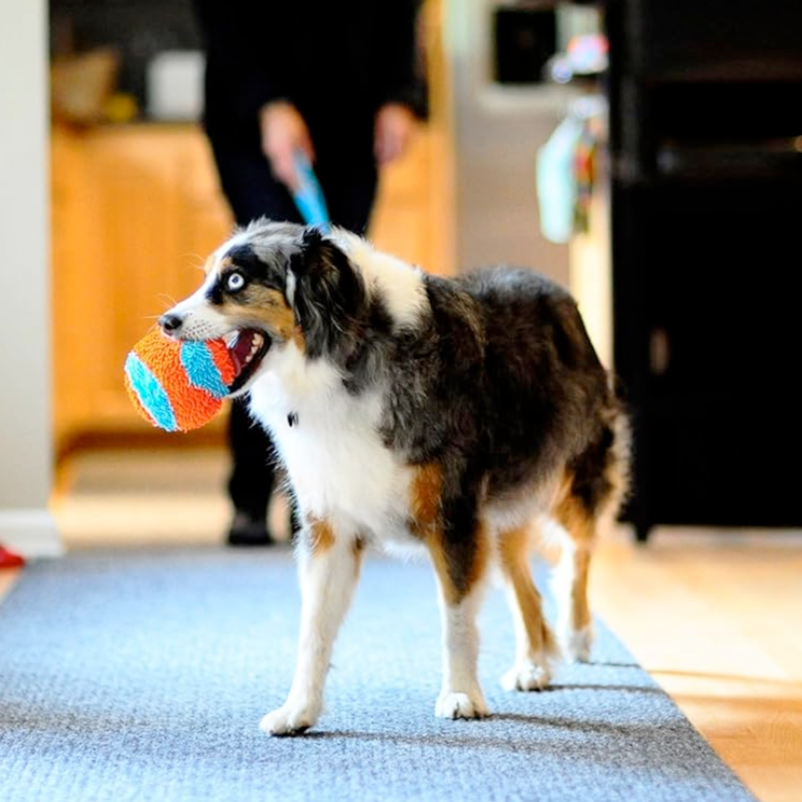 Chuckit! Soft - Indoor Ball - Chuckit!