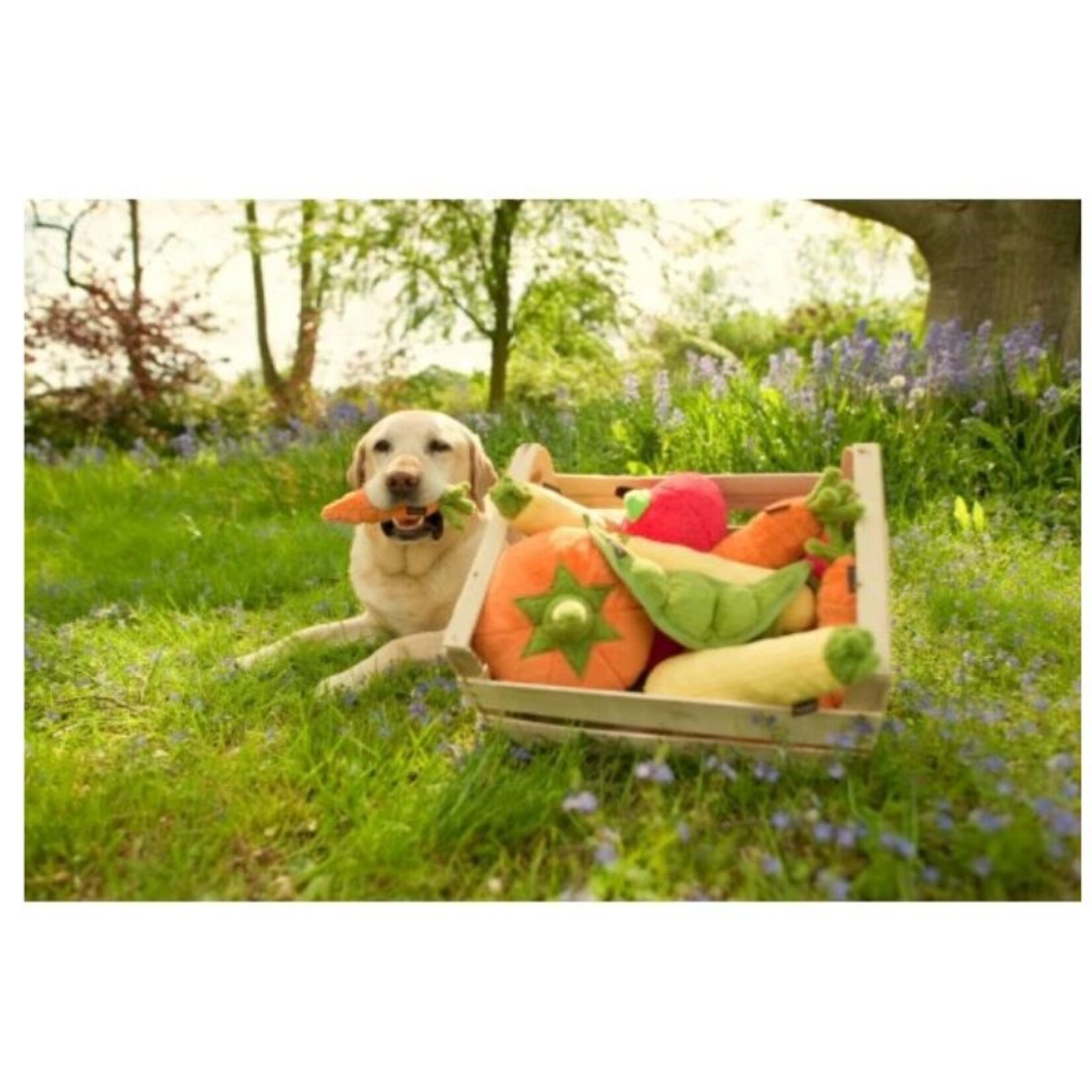 P.L.A.Y. Mini Carrot - Garden Fresh Dog Toy - P.L.A.Y.