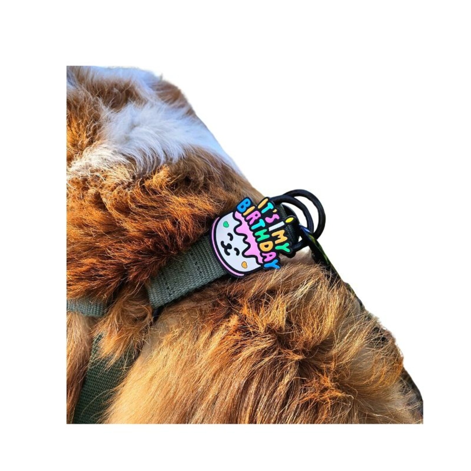 Jiby Dog Crew Food - Leash/Collar Badge - Jiby Dog Crew :