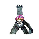 Jiby Dog Crew Nature - Leash/Collar Badge - Jiby Dog Crew :